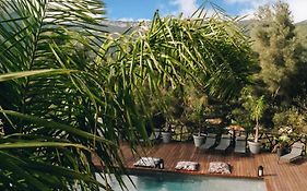 Villa Holistika : Bed And Breakfast / Pool / Air Conditioning/ Mont Faron Toulon